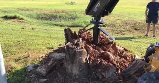 The Fastest, Easiest Way to Remove Tree Stumps