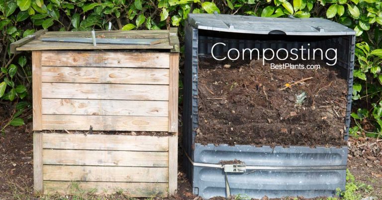 7 Tips for Making and Using Compost in The Garden