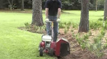 Spring Lawn Care Tips to Keep Your Lawn and Garden Beautiful