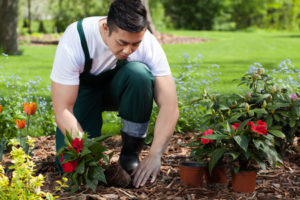 rent equipment to help plant a garden