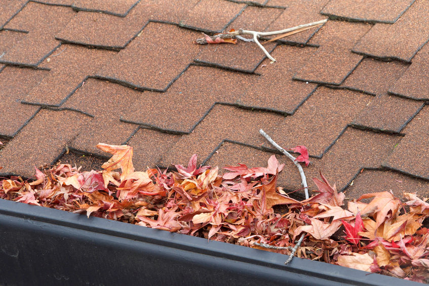 6 Reasons Why it’s Important to Keep Your Gutters Cleaned Out