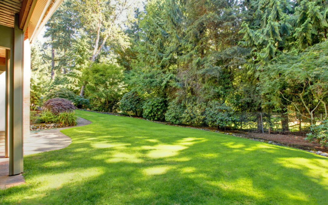 The Secret to Keeping Your Summer Grass Green and Healthy